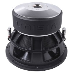 Subwoofer de 12" VX12PRO ESX Audio